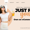 I create dynamic eCommerce Websites